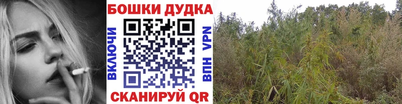 Магазины продажи наркотиков Ессентуки Cocaine МЕФ Галлюциногенные грибы МАРИХУАНА ГАШ