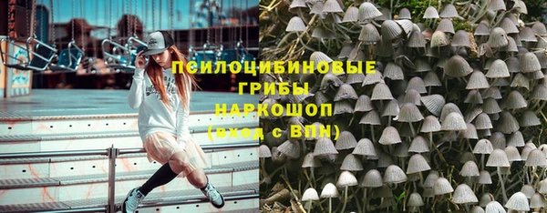 трава Армянск