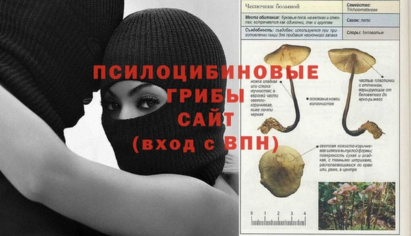 экстази Арсеньев