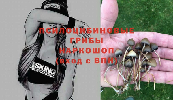 экстази Арсеньев