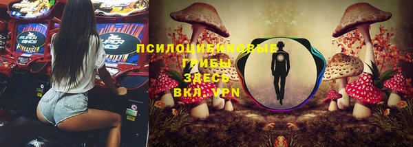 гашик Аркадак