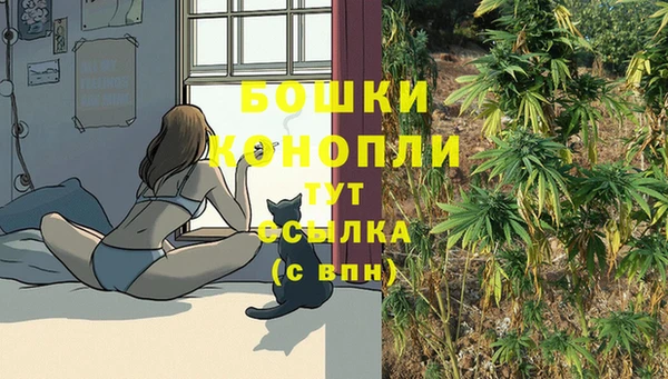 дживик Баксан