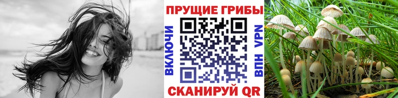 Псилоцибиновые грибы ЛСД Ессентуки